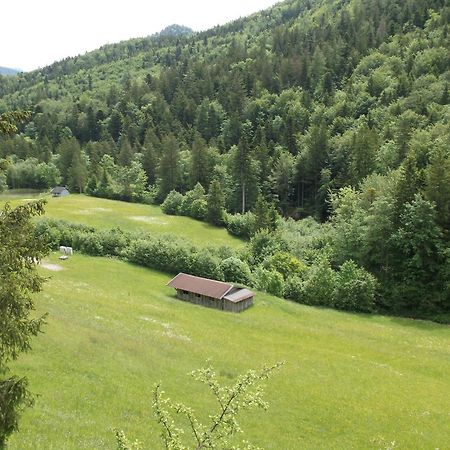 Kleine Einfache Ferienwohnung In Malerischer Umgebung Salzburgs 코플 외부 사진